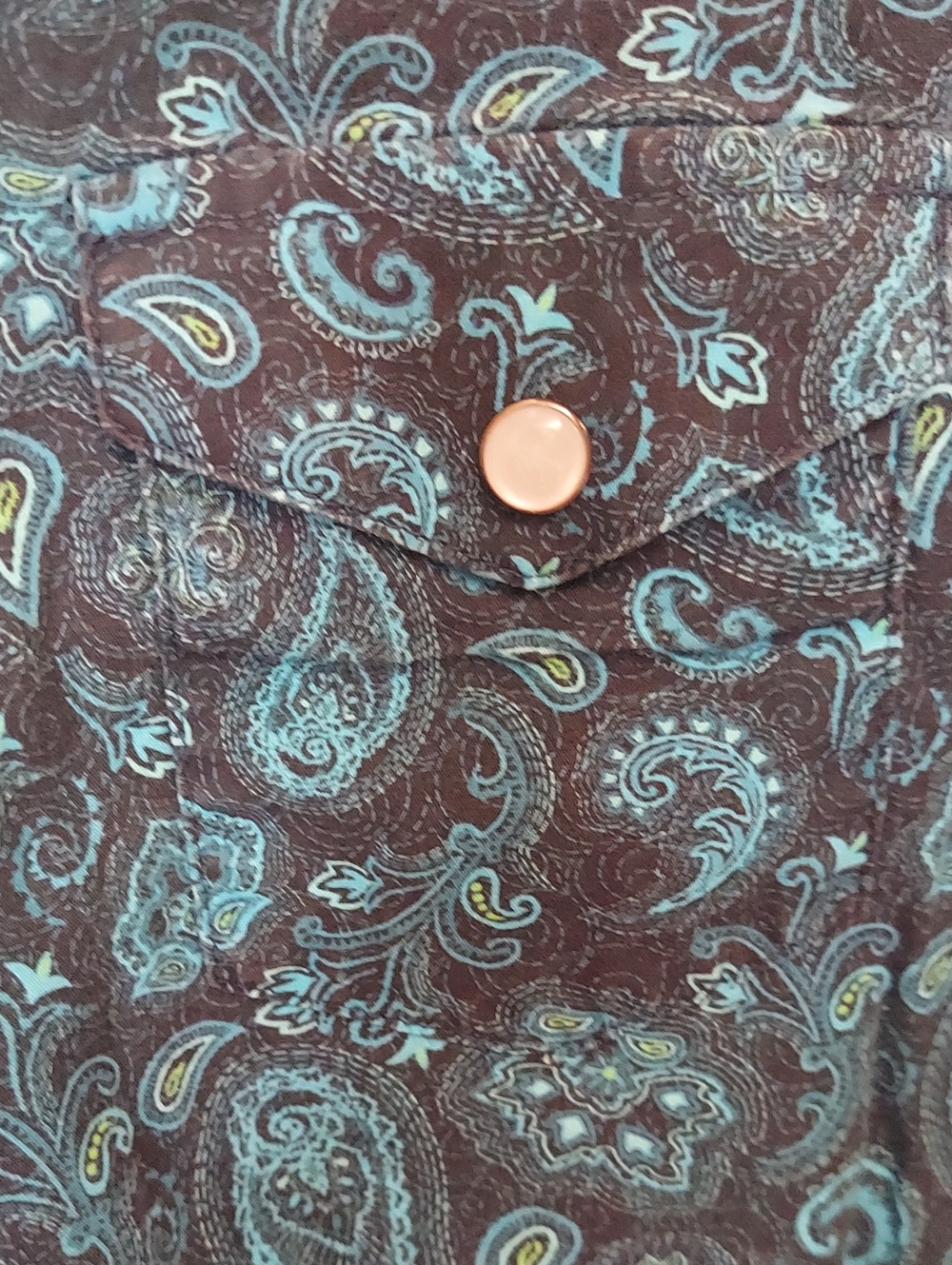 Panhandle Boy's Teal Black Paisley Western Long Sleeve Pearl Snap Shirt Sz M/10 - Picture 4 of 9